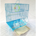 Foldable powder coated bird mesh cage